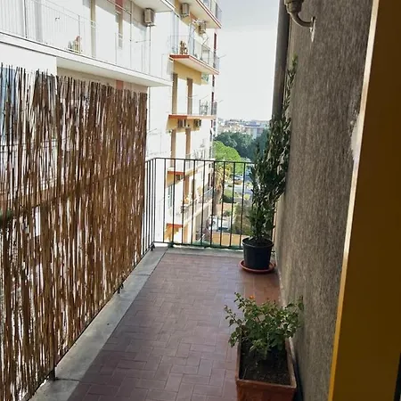 Donna Nica Катания